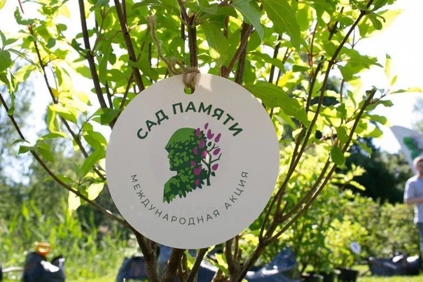 Международная акция Сад памяти проходит в Лысогорском районе