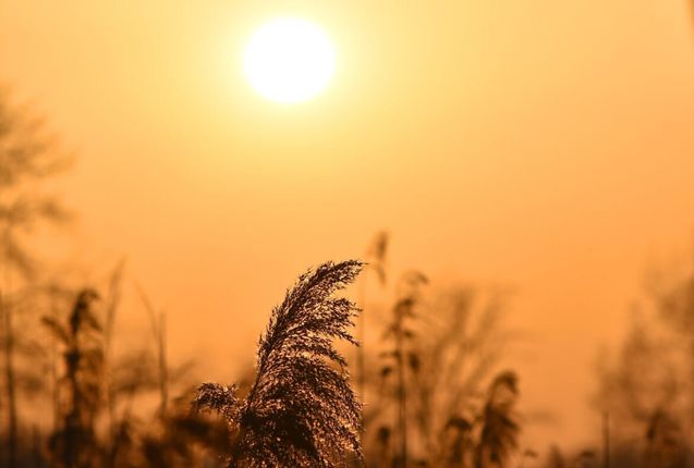 В школах района прозвенели 